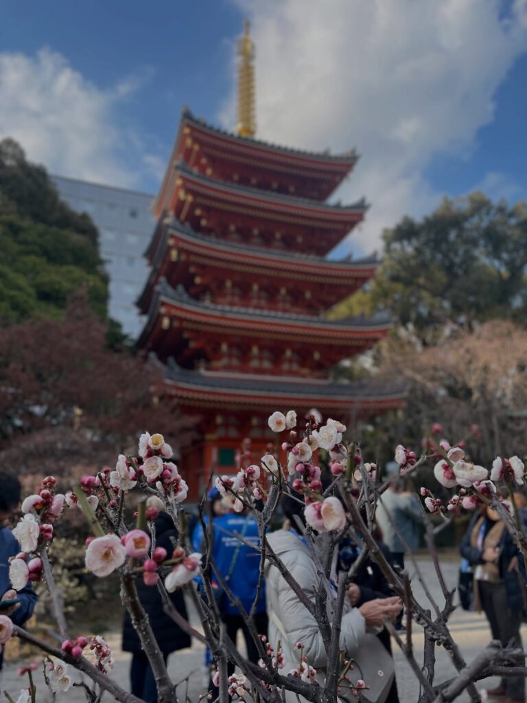 Japanese temple, pagoda