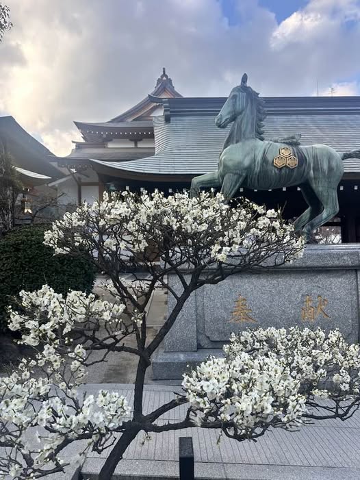 Kushida shrine, Japanese shrine